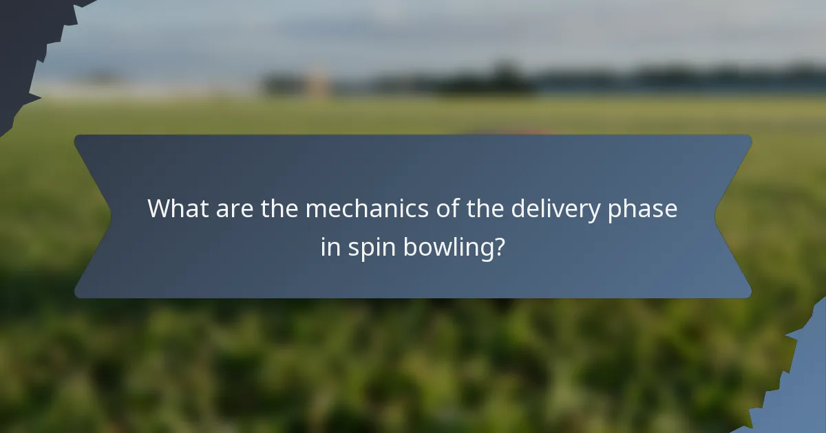 What are the mechanics of the delivery phase in spin bowling?